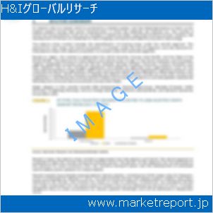 市場と産業調査レポートのイメージ